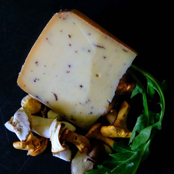 Trüffelkäse
